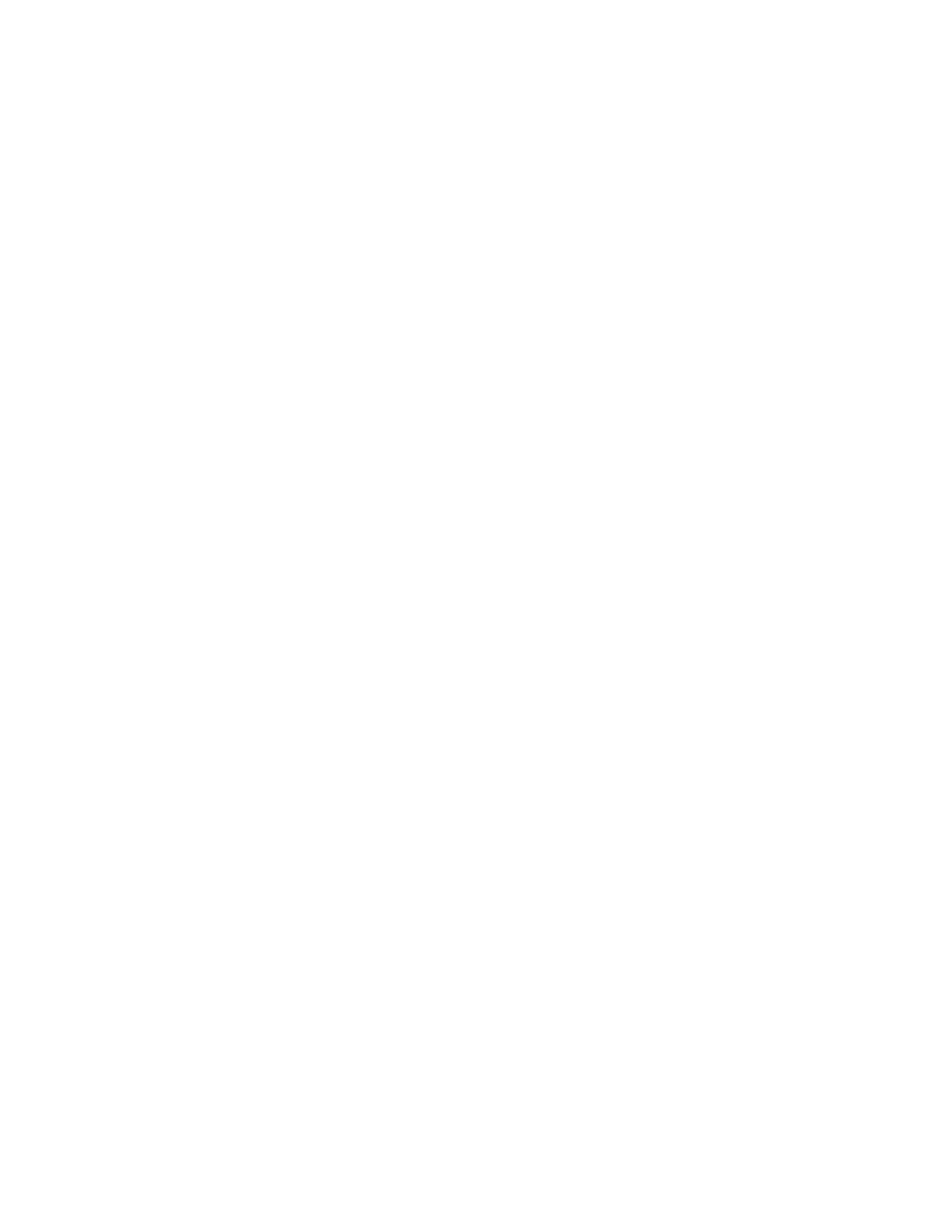 ADIMISE - Digital Solutions and Performance Marketing
